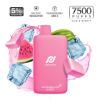Pod Pocket Disposables [7500 Puffs] - Watermelon Burst (CLEARANCE)
